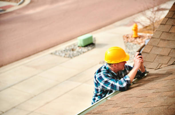Best Roof Moss and Algae Removal  in Avalon, CA